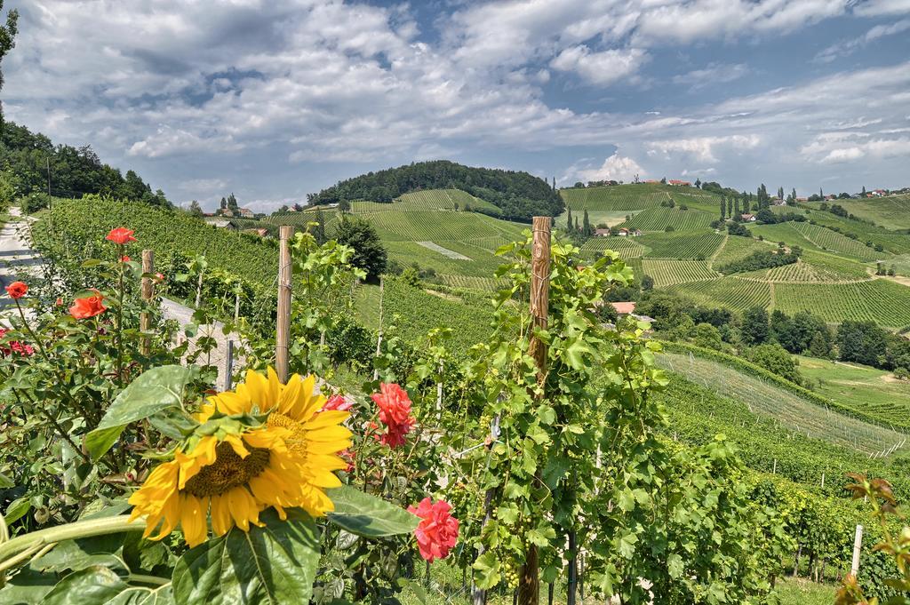 Farm Stay Jarc Vineyard Svecina Exterior photo