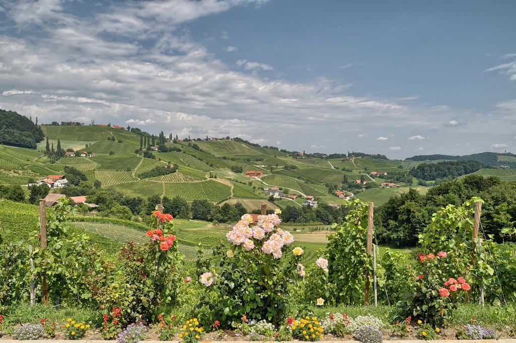 Farm Stay Jarc Vineyard Svecina Exterior photo