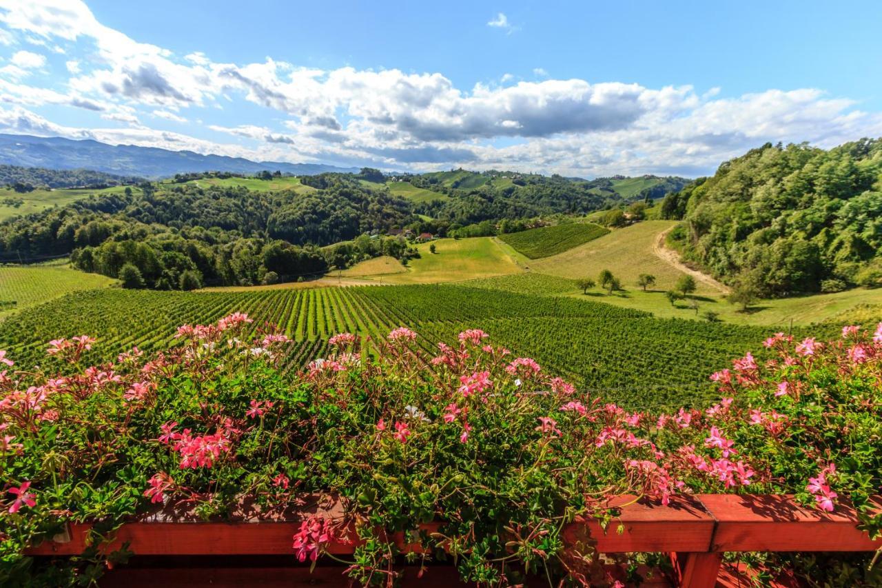 Farm Stay Jarc Vineyard Svecina Exterior photo